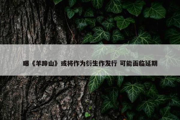 曝《羊蹄山》或将作为衍生作发行 可能面临延期