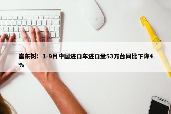 崔东树：1-9月中国进口车进口量53万台同比下降4%