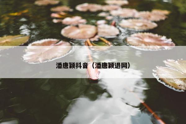 潘唐颖抖音（潘唐颖退网）