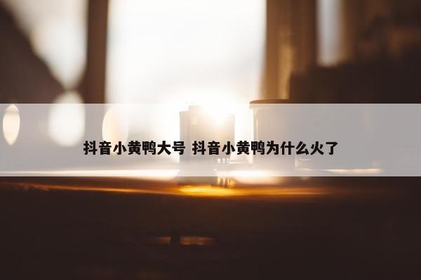 抖音小黄鸭大号 抖音小黄鸭为什么火了