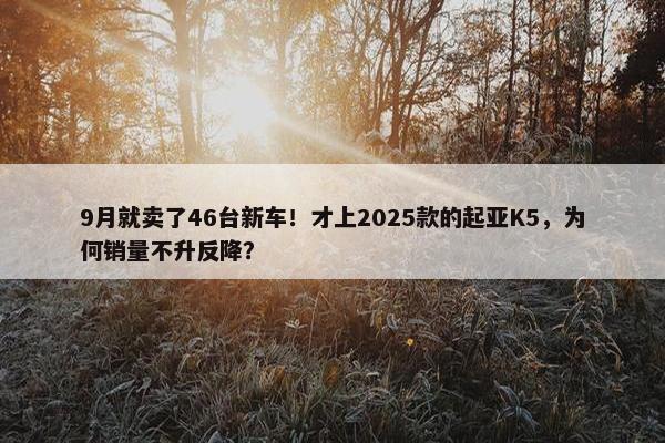 9月就卖了46台新车！才上2025款的起亚K5，为何销量不升反降？