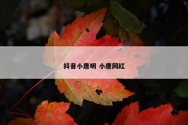 抖音小唐明 小唐网红