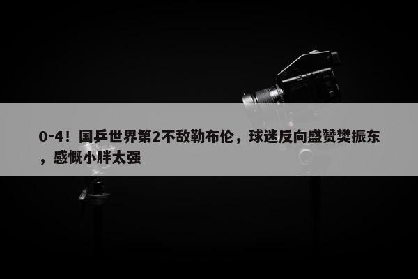 0-4！国乒世界第2不敌勒布伦，球迷反向盛赞樊振东，感慨小胖太强