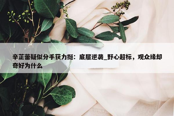 辛芷蕾疑似分手获力挺：底层逆袭_野心超标，观众缘却奇好为什么