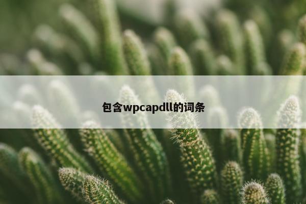 包含wpcapdll的词条