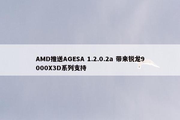 AMD推送AGESA 1.2.0.2a 带来锐龙9000X3D系列支持