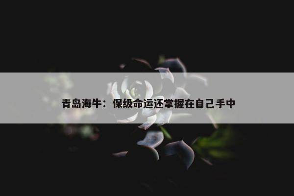 青岛海牛：保级命运还掌握在自己手中