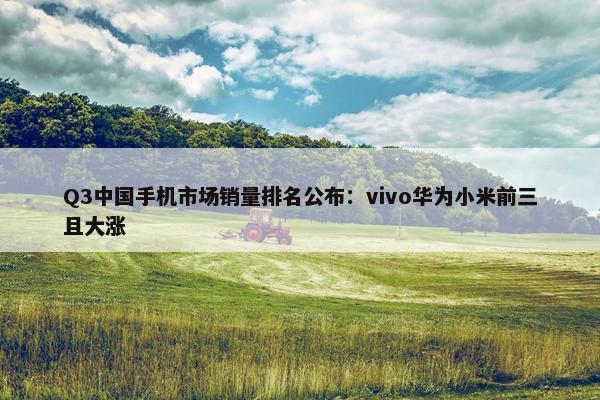 Q3中国手机市场销量排名公布：vivo华为小米前三且大涨