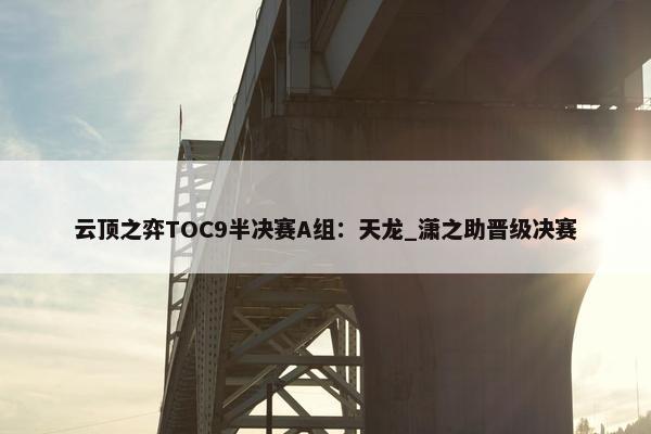 云顶之弈TOC9半决赛A组：天龙_潇之助晋级决赛