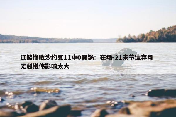 辽篮惨败沙约克11中0背锅：在场-21末节遭弃用 无赵继伟影响太大