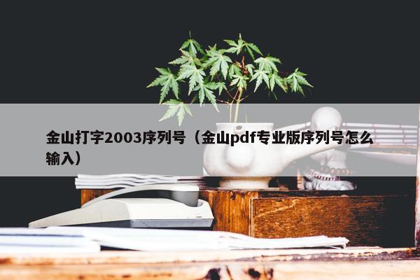 金山打字2003序列号（金山pdf专业版序列号怎么输入）