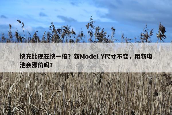 快充比现在快一倍？新Model Y尺寸不变，用新电池会涨价吗？