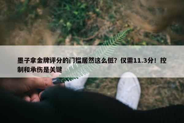 墨子拿金牌评分的门槛居然这么低？仅需11.3分！控制和承伤是关键