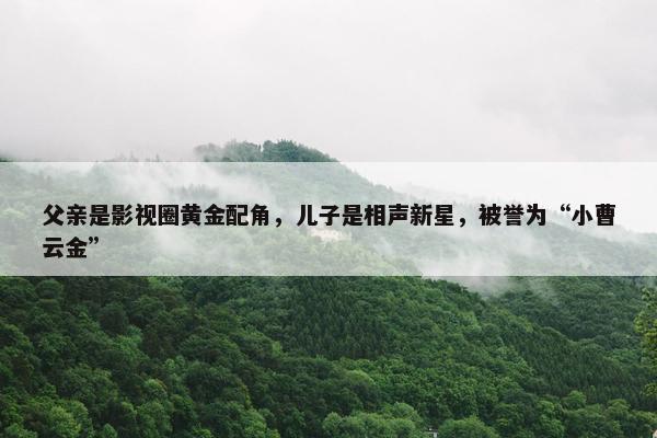 父亲是影视圈黄金配角，儿子是相声新星，被誉为“小曹云金”