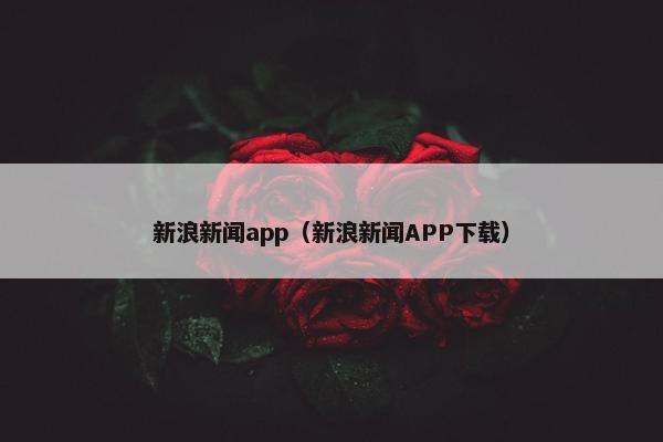 新浪新闻app（新浪新闻APP下载）