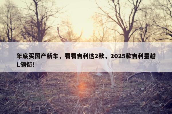 年底买国产新车，看看吉利这2款，2025款吉利星越L领衔！