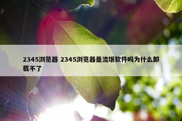 2345浏览器 2345浏览器是流氓软件吗为什么卸载不了