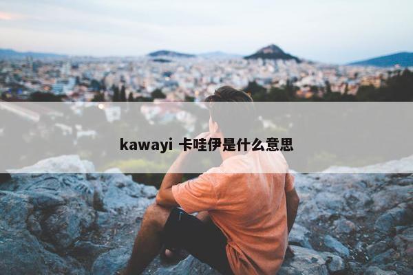 kawayi 卡哇伊是什么意思