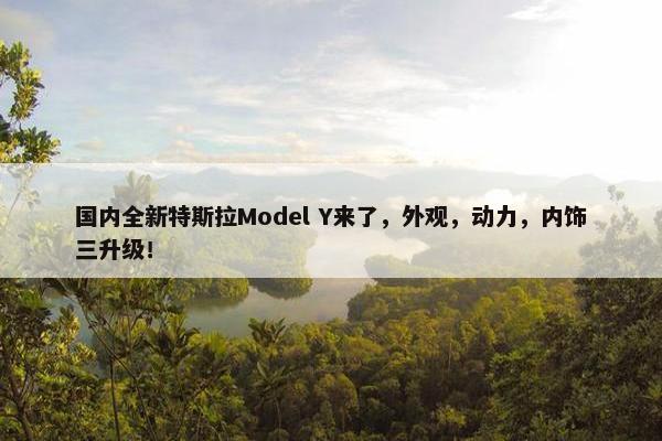 国内全新特斯拉Model Y来了，外观，动力，内饰三升级！