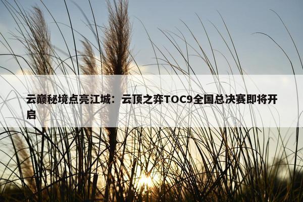 云巅秘境点亮江城：云顶之弈TOC9全国总决赛即将开启