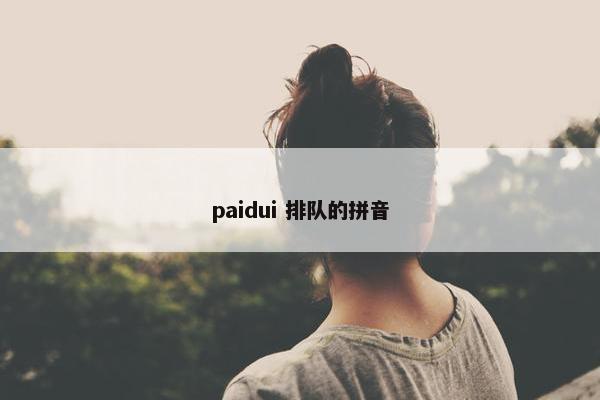 paidui 排队的拼音