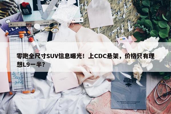 零跑全尺寸SUV信息曝光！上CDC悬架，价格只有理想L9一半？