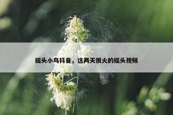 摇头小鸟抖音，这两天很火的摇头视频