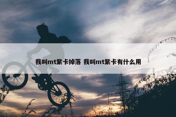 我叫mt紫卡掉落 我叫mt紫卡有什么用