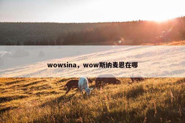 wowsina，wow斯纳麦恩在哪