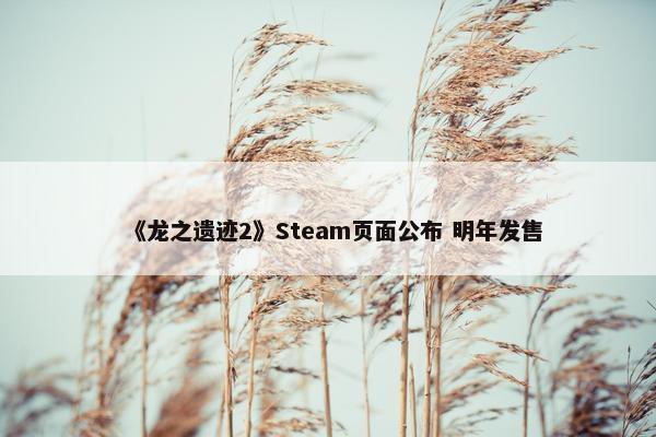 《龙之遗迹2》Steam页面公布 明年发售