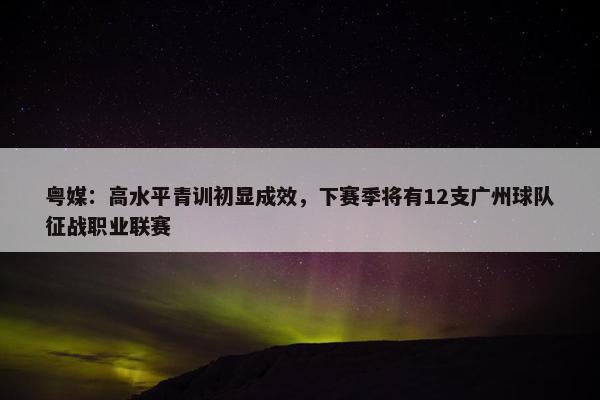 粤媒：高水平青训初显成效，下赛季将有12支广州球队征战职业联赛