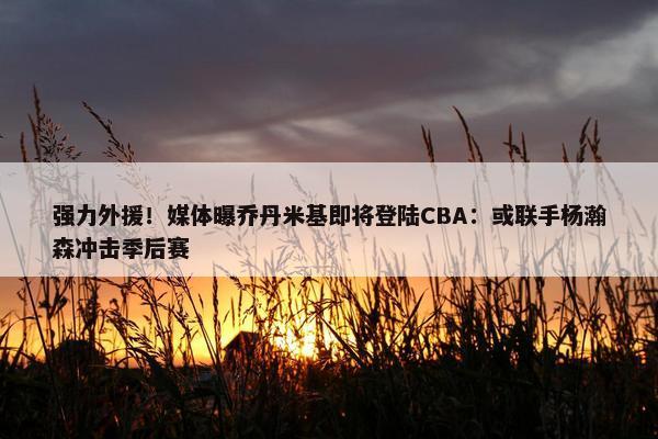 强力外援！媒体曝乔丹米基即将登陆CBA：或联手杨瀚森冲击季后赛