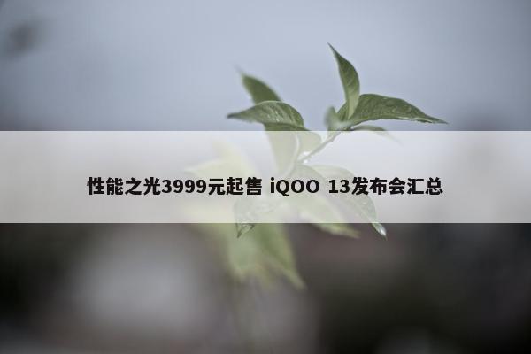 性能之光3999元起售 iQOO 13发布会汇总