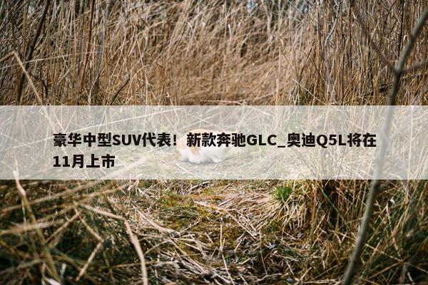 豪华中型SUV代表！新款奔驰GLC_奥迪Q5L将在11月上市