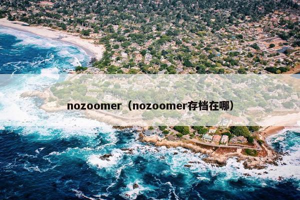 nozoomer（nozoomer存档在哪）