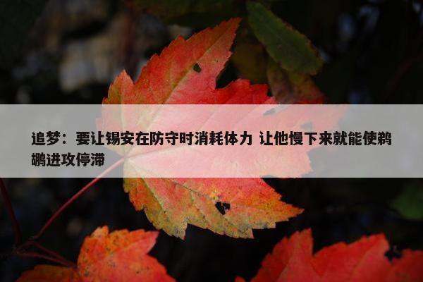 追梦：要让锡安在防守时消耗体力 让他慢下来就能使鹈鹕进攻停滞