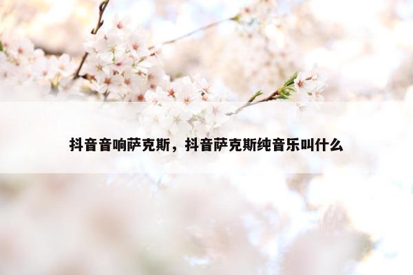 抖音音响萨克斯，抖音萨克斯纯音乐叫什么