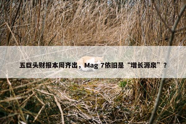 五巨头财报本周齐出，Mag 7依旧是“增长源泉”？