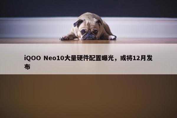 iQOO Neo10大量硬件配置曝光，或将12月发布