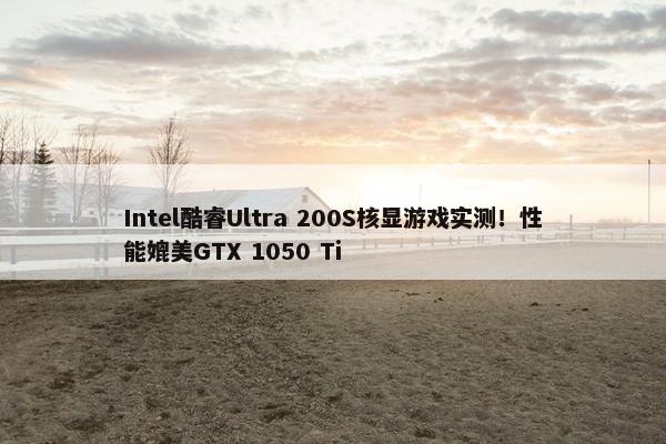 Intel酷睿Ultra 200S核显游戏实测！性能媲美GTX 1050 Ti