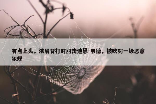 有点上头，浓眉背打时肘击迪恩-韦德，被吹罚一级恶意犯规