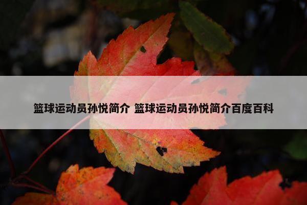 篮球运动员孙悦简介 篮球运动员孙悦简介百度百科