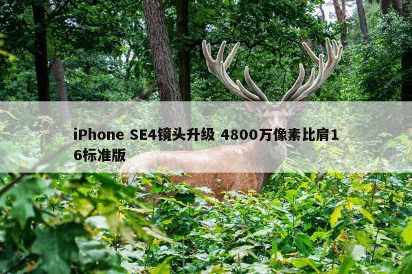 iPhone SE4镜头升级 4800万像素比肩16标准版