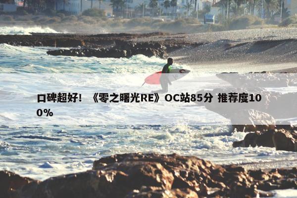 口碑超好！《零之曙光RE》OC站85分 推荐度100%