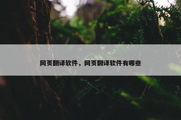 网页翻译软件，网页翻译软件有哪些