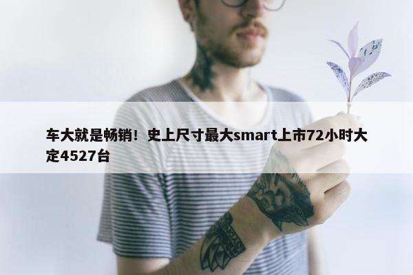 车大就是畅销！史上尺寸最大smart上市72小时大定4527台