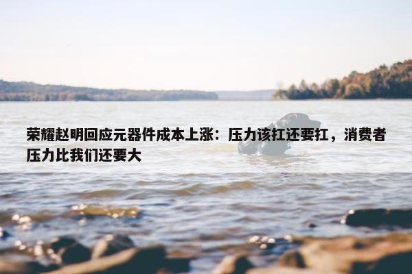 荣耀赵明回应元器件成本上涨：压力该扛还要扛，消费者压力比我们还要大