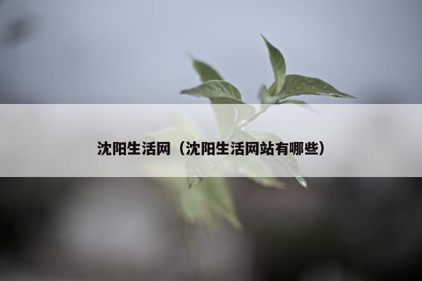 沈阳生活网（沈阳生活网站有哪些）