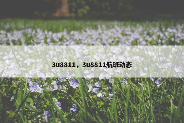 3u8811，3u8811航班动态