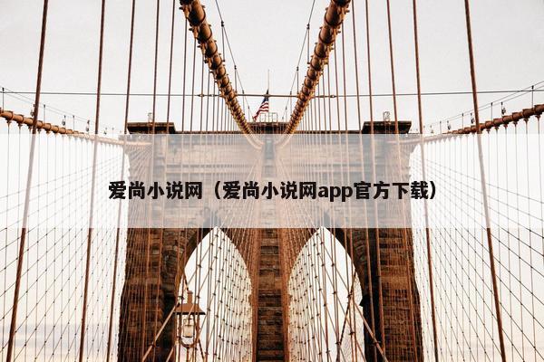 爱尚小说网（爱尚小说网app官方下载）